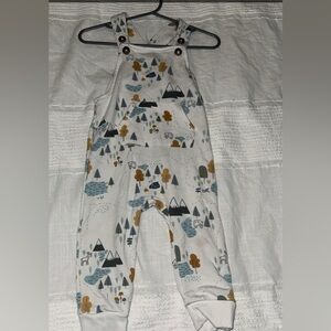 Little Sleepies Overalls